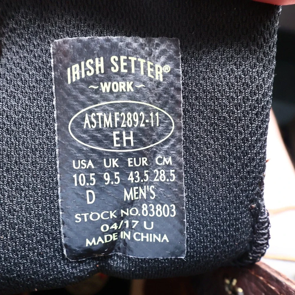 Irish Setter irish setter
